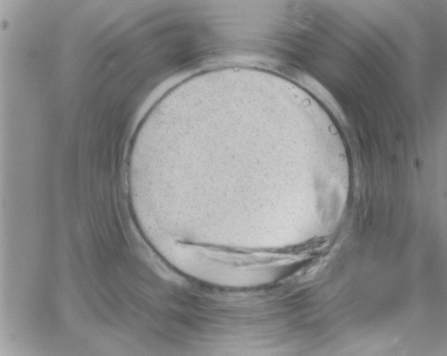 X0000064731436200603131242