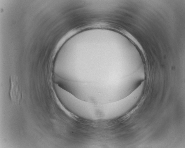 X0000064731437200603131242