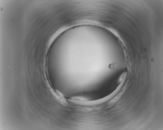 X0000064731438200603131242