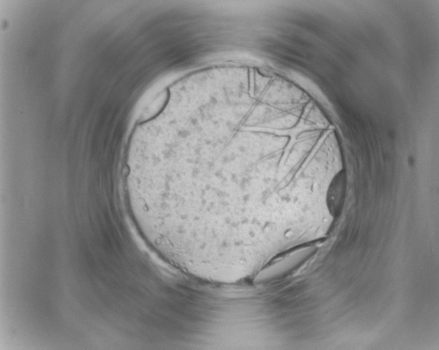 X0000064731440200603131242