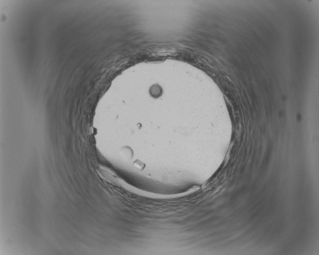 X0000064731441200603131241