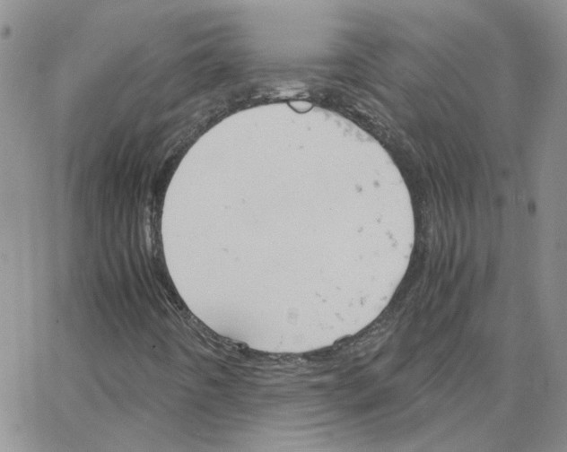 X0000064731442200603131241