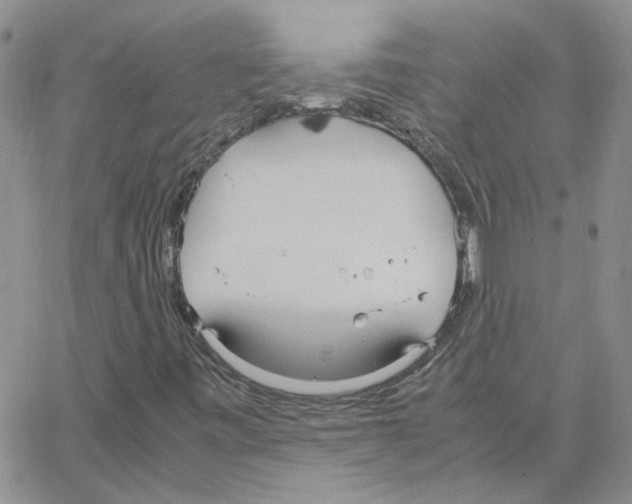 X0000064731443200603131241