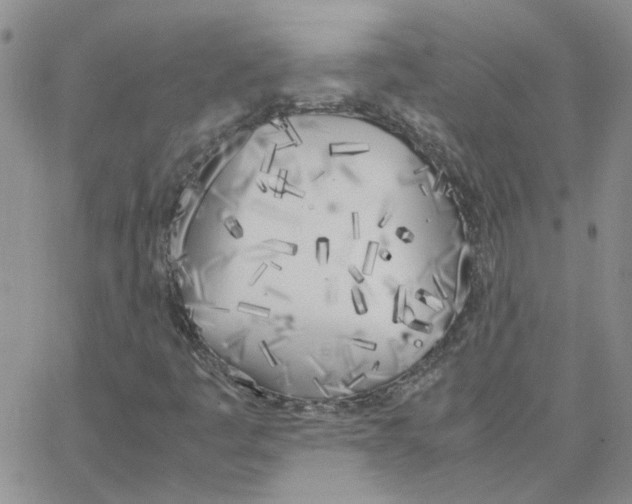 X0000064731445200603131241