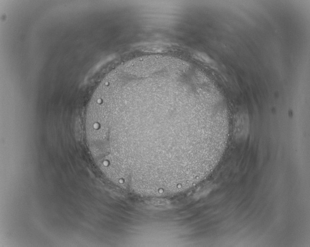 X0000064731446200603131241