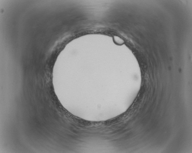 X0000064731447200603131241