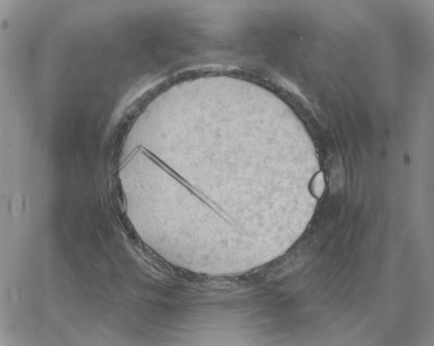 X0000064731448200603131241