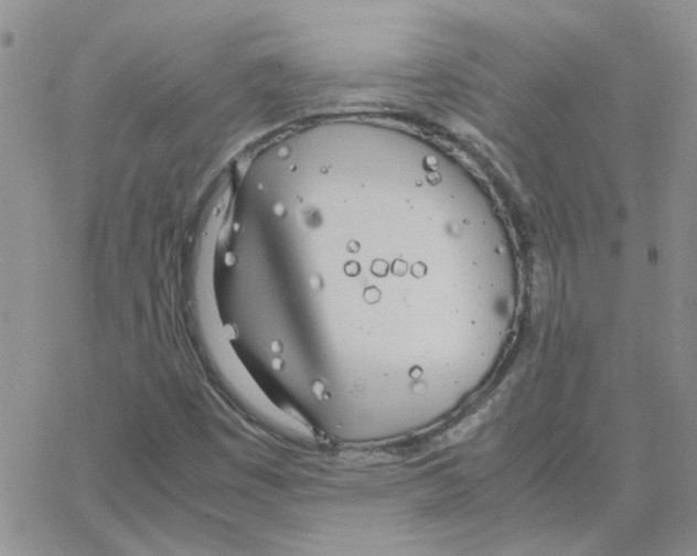 X0000064731449200603131241