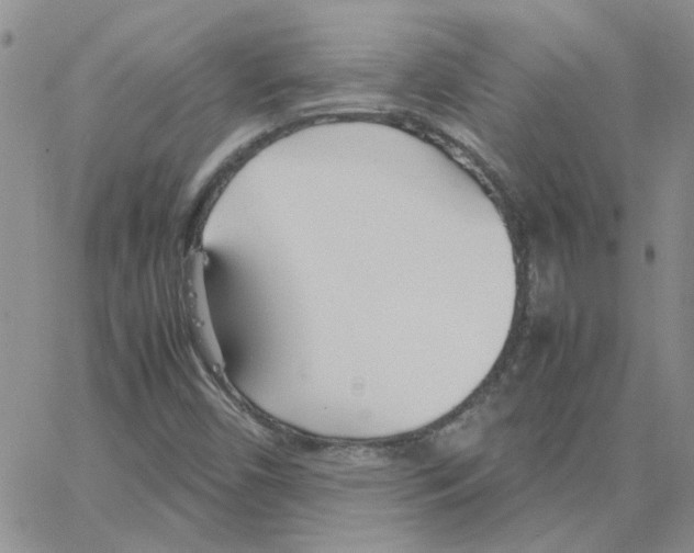 X0000064731450200603131241