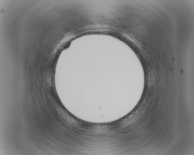 X0000064731451200603131241