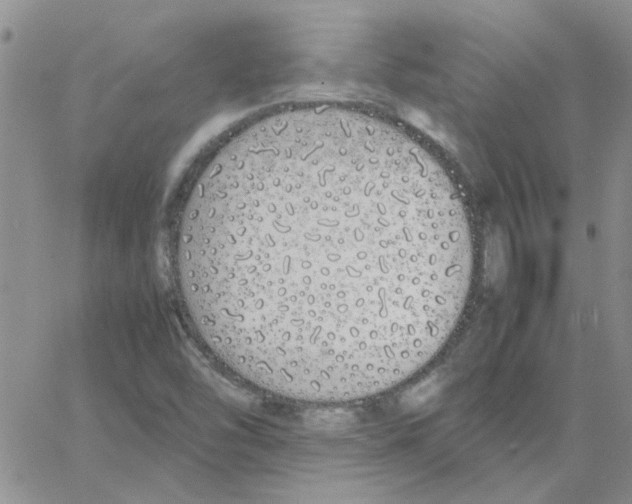 X0000064731454200603131241