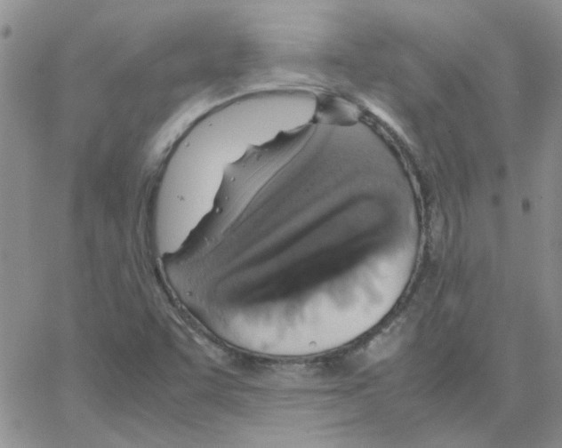 X0000064731455200603131241