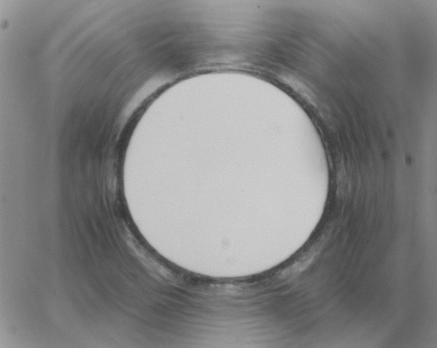 X0000064731458200603131241