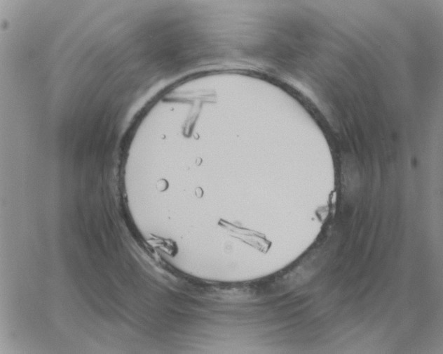 X0000064731460200603131241