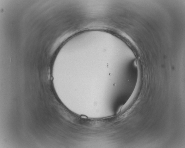 X0000064731461200603131241