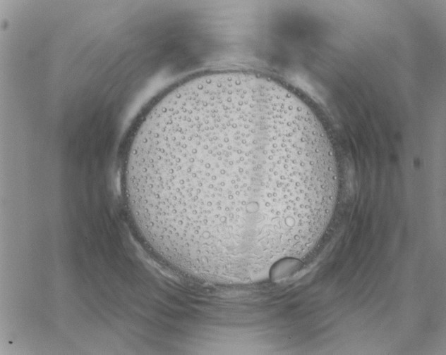 X0000064731462200603131241