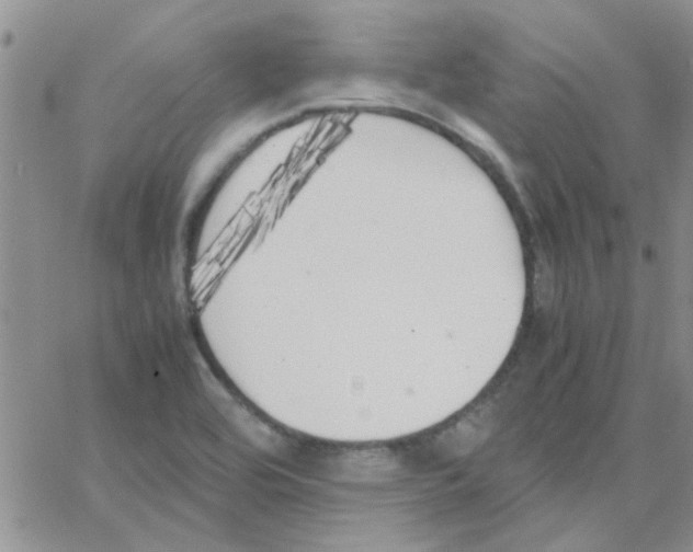 X0000064731464200603131241