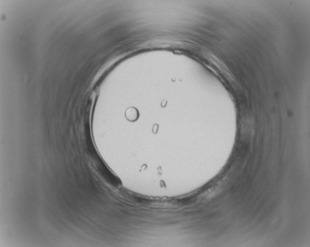 X0000064731465200603131241