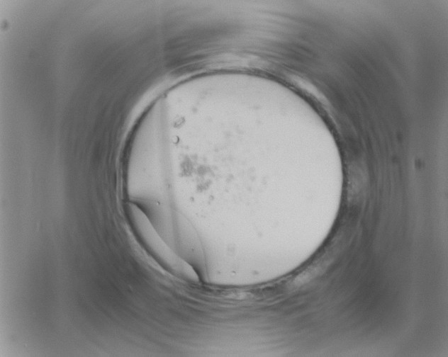 X0000064731467200603131241