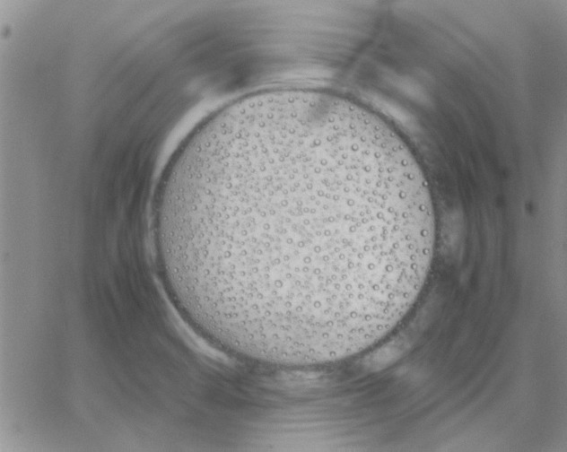 X0000064731470200603131241