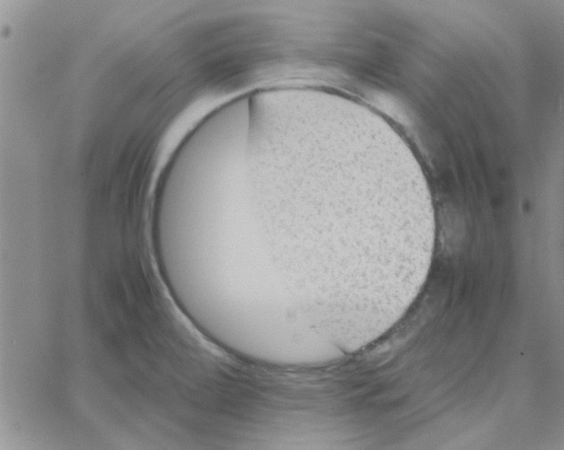 X0000064731472200603131241