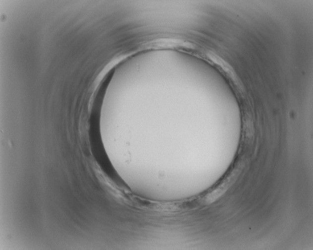 X0000064731473200603131241