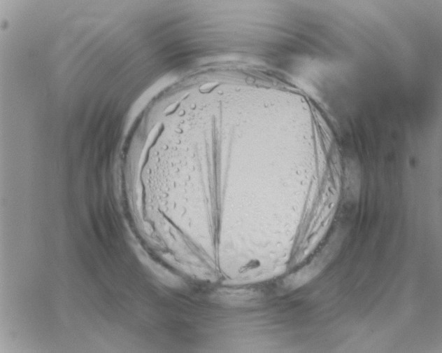 X0000064731474200603131241