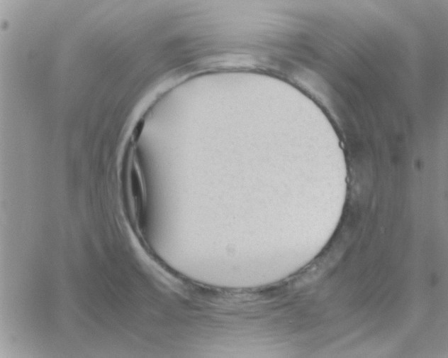 X0000064731475200603131241