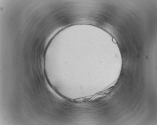 X0000064731476200603131241