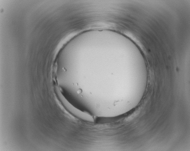 X0000064731477200603131241