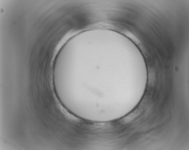 X0000064731478200603131241