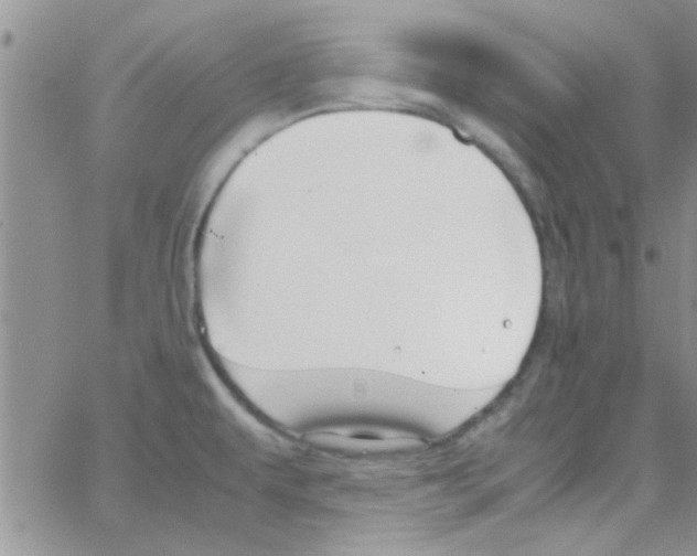 X0000064731479200603131241