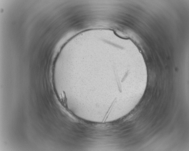 X0000064731480200603131241