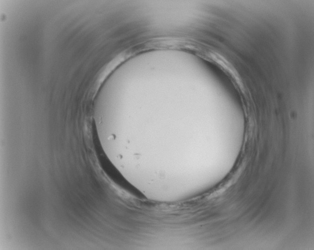 X0000064731481200603131241