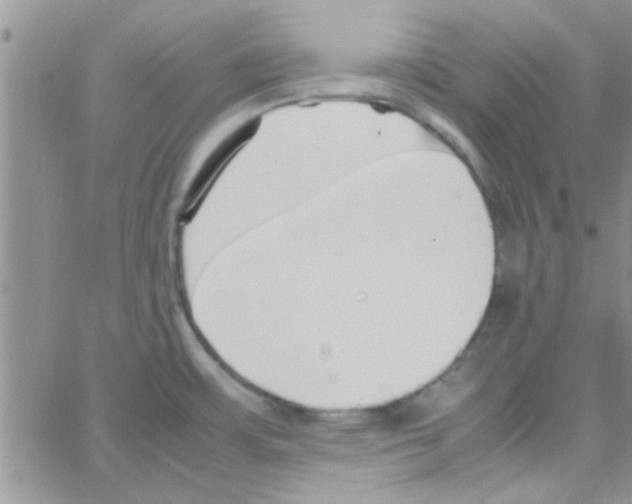 X0000064731483200603131240