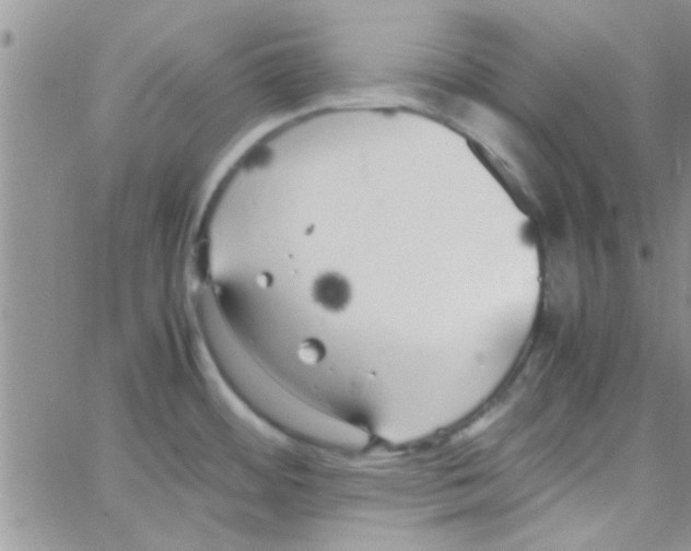 X0000064731484200603131240