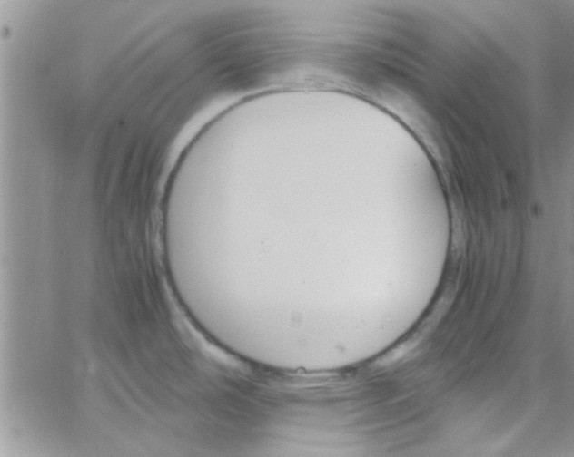 X0000064731486200603131240