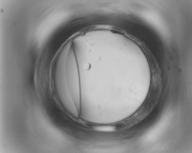 X0000064731487200603131240