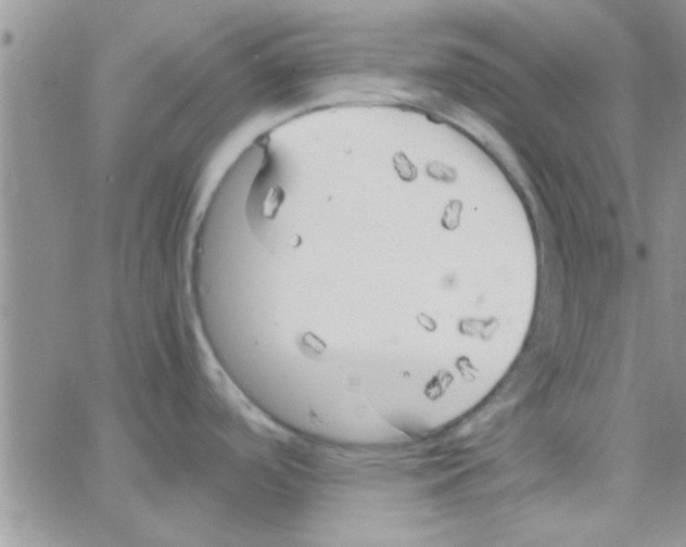 X0000064731488200603131240