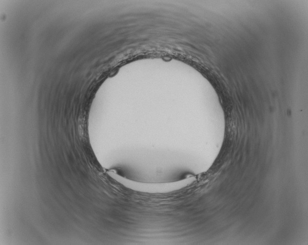 X0000064731490200603131240