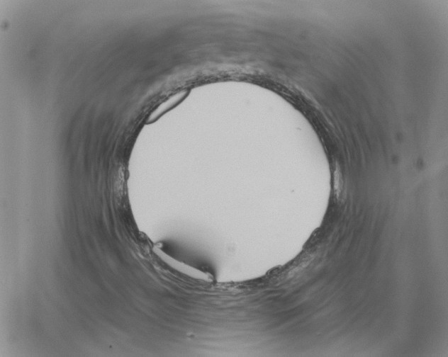 X0000064731492200603131240