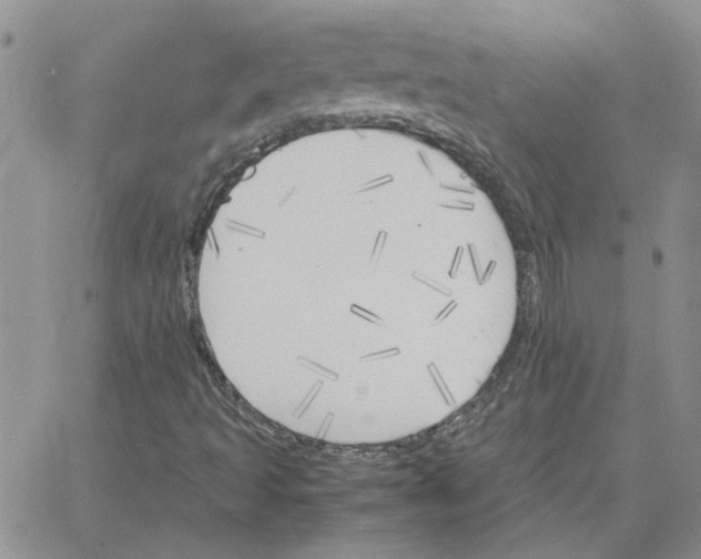 X0000064731493200603131240