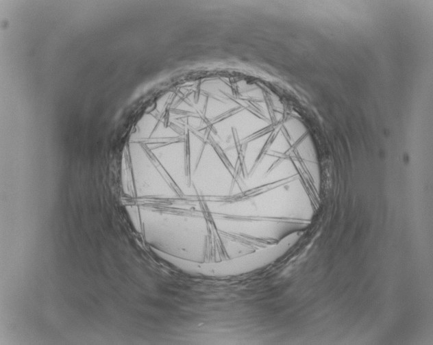 X0000064731494200603131240