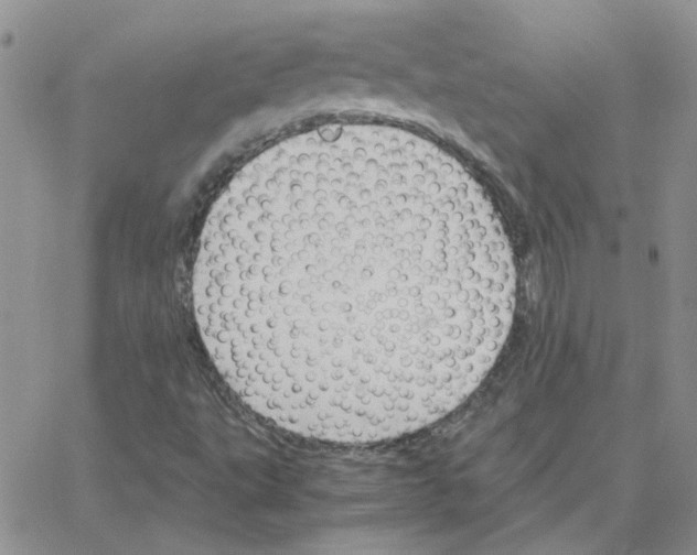 X0000064731495200603131240