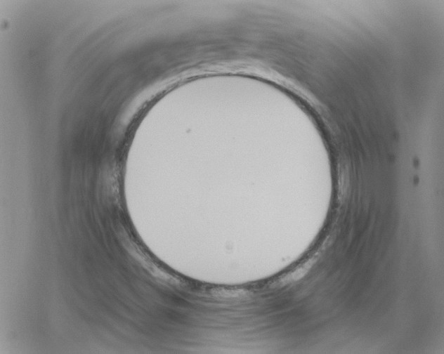 X0000064731498200603131240