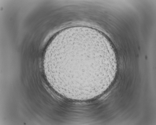 X0000064731499200603131240