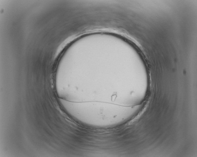 X0000064731501200603131240