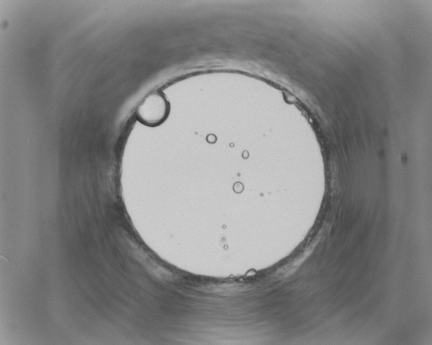 X0000064731502200603131240