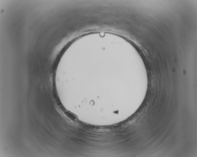 X0000064731503200603131240