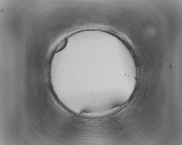 X0000064731504200603131240